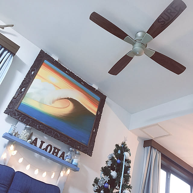 大光電機 Daiko シーリングファン 簡易取付式 リモコンスイッチ付 本体シルバー 正転逆転切替 風量3段切替機能付 As563eのレビュー 口コミとして参考になる投稿13枚 Roomclip ルームクリップ