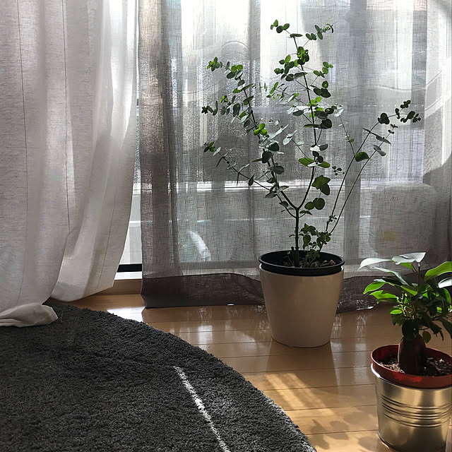 Ikea イケア 通販 Lenda レンダ カーテン タッセル付き 1組 ブリーチ ホワイト E B のレビュー クチコミとして参考になる投稿43枚