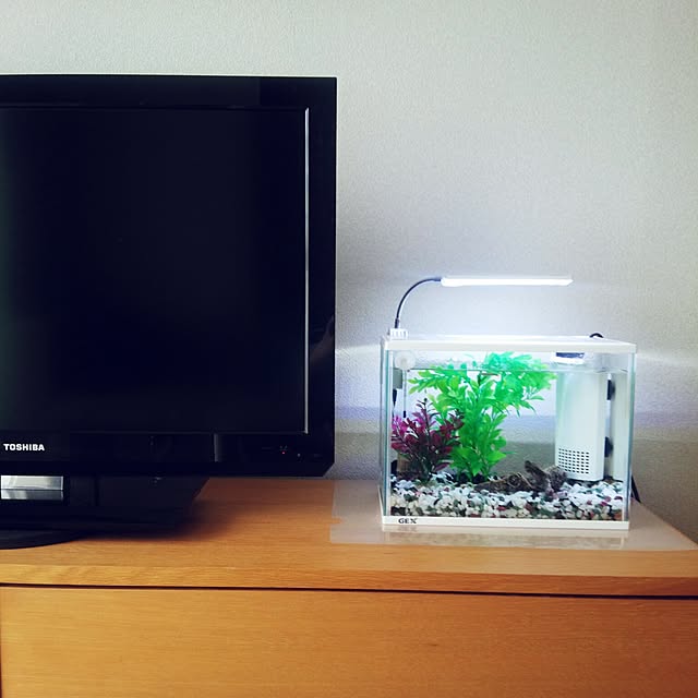 ジェックス gex クリアled エコリオ アーム カラー 小型水槽用照明 ライト 熱帯魚 水草 アクアリウムライトのレビュー 口コミとして参考になる投稿8枚 Roomclip ルームクリップ ジェックス gex クリアled エコリオ アーム カラー 小型水槽用照明 ライト 熱帯魚 水草 アクアリウムライトのレビュー 口コミとして参考になる投稿8枚 Roomclip ルームクリップ