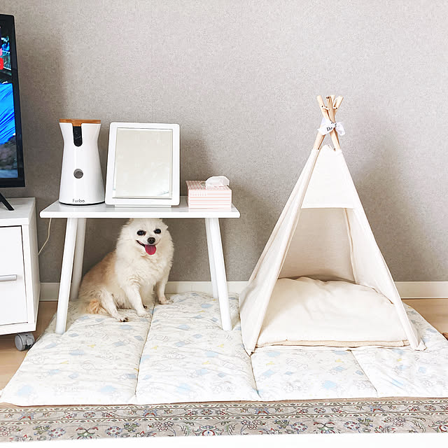 Furbo ドッグカメラ ファーボ Ai搭載 Wifi ペットカメラ ペット 見守りカメラ カメラ 犬 留守番 飛び出すおやつ おやつ 双方向会話 スマホ Iphone Android 対応 アカウント共有 写真 動画のレビュー クチコミとして参考になる投稿7枚