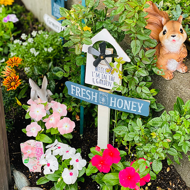 ダイソー 花壇柵のまとめページ Roomclip ルームクリップ