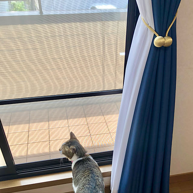 写真付きレビュー セキスイ 遮熱クールアップ 日よけ 紫外線対策 遮熱シート 遮光シート 積水 6枚組 セット 6枚 節電 省エネ Uvカット 網戸 窓ガラス 目隠し 正規品 正規販売店の通販商品 口コミ情報 Roomclipショッピング