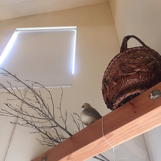 リサラーソン 置物 ピジョン ハト 鳩 動物 鳥 陶器 北欧 オブジェ リサ ラーソン Lisa Larson Pigeon のレビュー クチコミとして参考になる投稿17枚 Roomclipショッピング