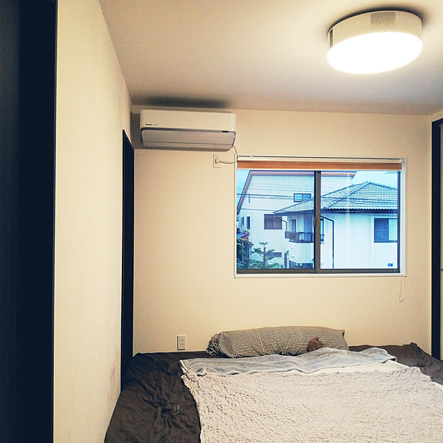 プロジェクター 付き 天井 ライト