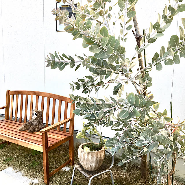 ベンチ 屋外 おしゃれ ガーデンベンチ 木製 雨ざらし アカシア 木製ベンチ ガーデン ベンチ アンティーク 北欧 木 業務用のレビュー クチコミとして参考になる投稿5枚 Roomclip ルームクリップ