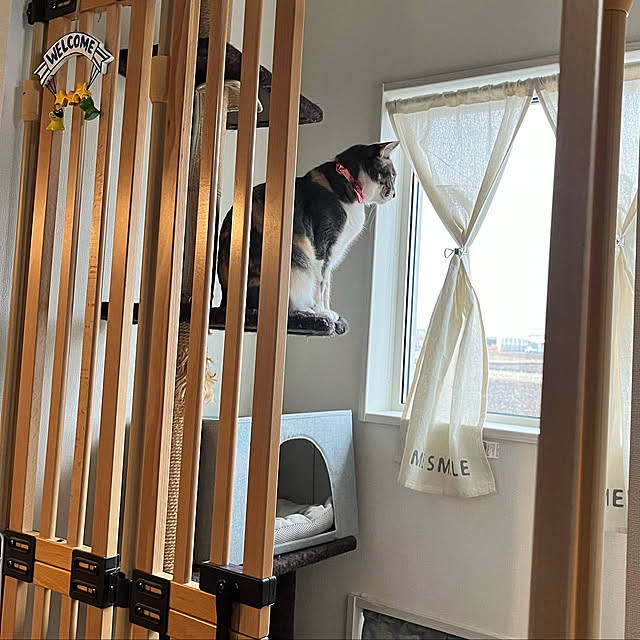 木の のぼれんニャン 猫用 ペットゲート 取付幅 約76 cm 取付高さ 約0 245cmまで 猫 脱走防止 ハイタイプ ドア付き 突っ張り フェンス のぼれんにゃん バリアフリー 猫用品 ゲージ ケージ パーテーション ベランダ 廊下 玄関 飛び出し防止 逃走防止 ペットガード