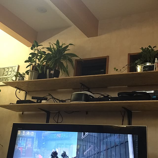 母の日ギフト 選べる2品種 香り マダガスカルジャスミン ガーデニア 母の日 ギフト 花 送料無料 鉢植え 鉢花 母の日プレゼントのレビュー クチコミとして参考になる投稿1枚 Roomclip ルームクリップ