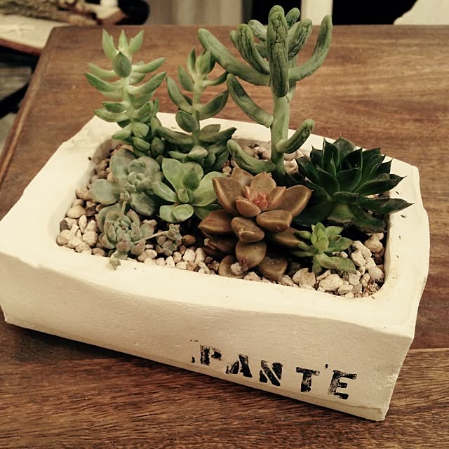 棚/ブログしてます♡/DIY/男前DIY/植物...などのインテリア実例 - 2014-06-19 21:49:32