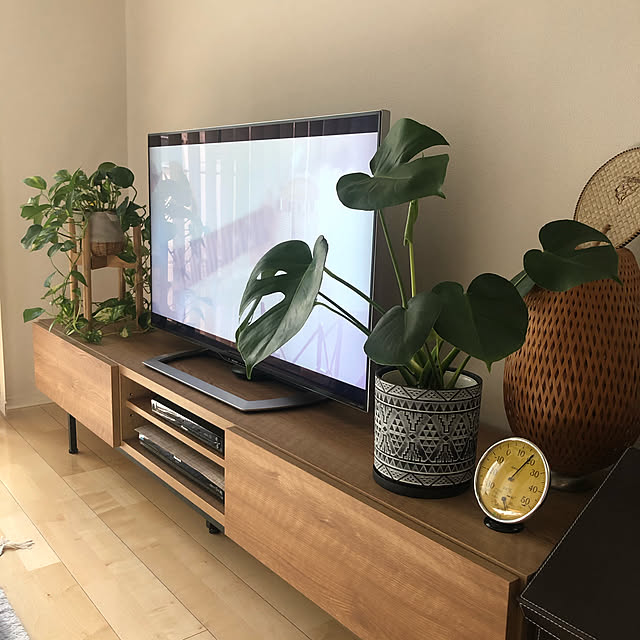 One Sight フラワースタンド 花台 竹製 鉢スタンド 幅30cmまで調整 観葉植物 台 植木鉢おき プランター プラントスタンド 木製 100kg耐荷重 屋外室内 1年安心サービス のレビュー クチコミとして参考になる投稿42枚 Roomclip ルームクリップ