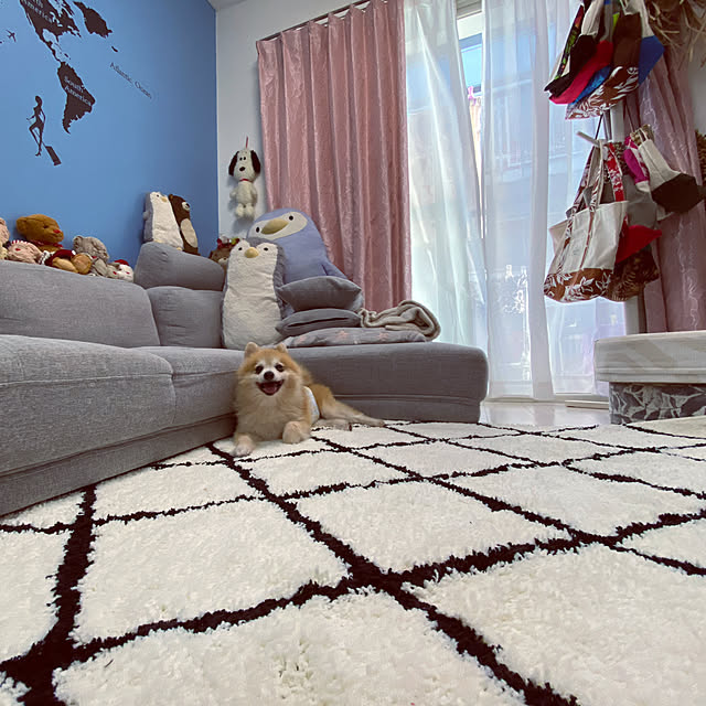 ニトリ ポールハンガー ヒーリオ Wh のレビュー 口コミとして参考になる投稿6枚 Roomclip ルームクリップ ニトリ ポールハンガー ヒーリオ Wh のレビュー 口コミとして参考になる投稿6枚 Roomclip ルームクリップ