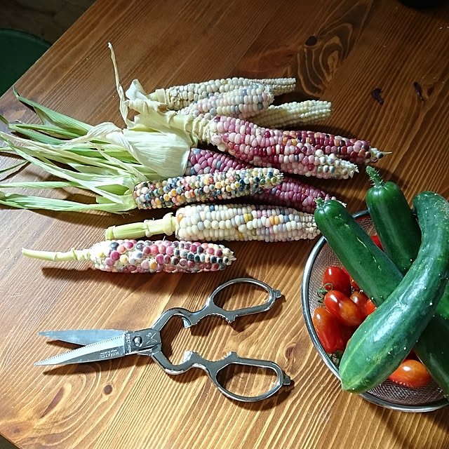 Garden プランニングシザー ガーデニングのお供に使いたい鋏のレビュー クチコミとして参考になる投稿2枚 Roomclip Item