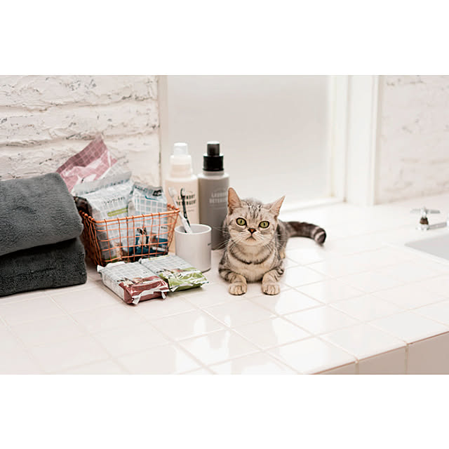 ペッツワン/トリートメントシャンプータオル/ボディタオル/ウェット