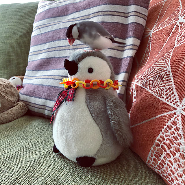 即日出荷 チェンリング チェーンリング チェーン 輪っか 懐かしい おもちゃ 玩具 水遊び 外遊び ゲーム 子供用 プレゼント アーテック 7104のレビュー クチコミとして参考になる投稿2枚 Roomclip ルームクリップ