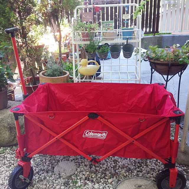 全品送料0円 Coleman アウトドアワゴン 2000021989 fucoa.cl 全品送料0円 Coleman アウトドアワゴン 2000021989 fucoa.cl