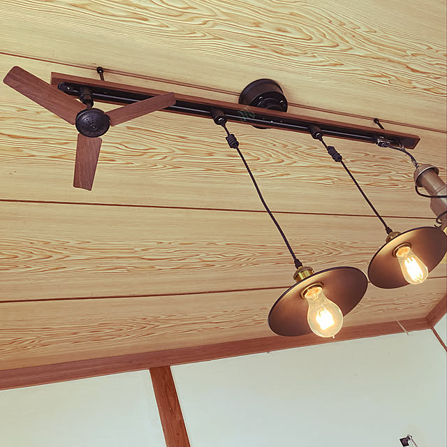 Ampoule シーリングライト 照明 おしゃれ ダクトレール ライティングレール 天然木 リビング ダイニング 寝室 北欧 ナチュラル インダストリアル 照明器具 ウォールナット オーク Asenta アセンタのレビュー 口コミとして参考になる投稿9枚