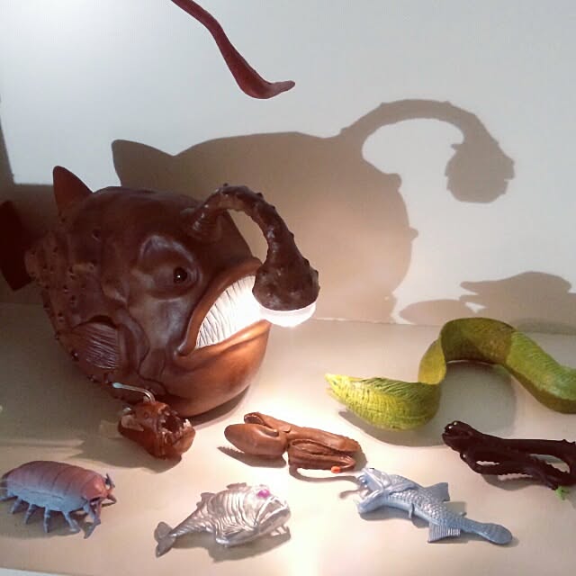 壁 天井 オタク部屋 深海魚 さかなクン 子供部屋 などのインテリア実例 14 08 03 21 30 15 Roomclip ルームクリップ