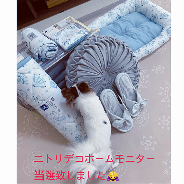 ニトリ ひざ掛け Nクール Sp クラン2 のレビュー 口コミとして参考になる投稿37枚 Roomclip ルームクリップ