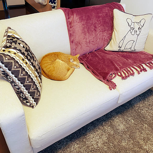 Sale Off Francfranc ゴーディス スロー ひざ掛け 1500 800 フランフラン 生活雑貨 ブランケット パープルのレビュー クチコミとして参考になる投稿3枚 Sale Off Francfranc ゴーディス スロー ひざ掛け 1500 800 フランフラン 生活雑貨 ブランケット パープルのレビュー クチコミとして参考になる投稿3枚