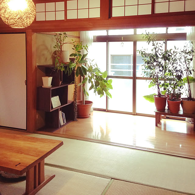 部屋全体/レトロ/こどもと暮らす/築30年賃貸/古い賃貸&hellip;などのインテリア実例 20181226 152851