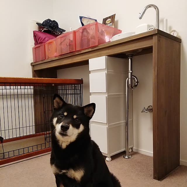 3 4 3 10 5 Offクーポン 送料無料 おすすめ アウトドア 寝袋 シュラフ 1 45kg 寝袋 冬 洗える かわいい コンパクト 夏用 耐寒 5 封筒型 車中泊 キャンプ 連結 防災 アウトドア寝具 水色 ブルー ワインレッド ネイビー ブラック オレンジ ブルー コーヒーad009の