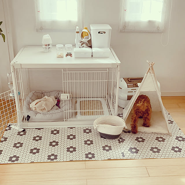 写真付きレビュー ポイント5倍 9日 11日1 59迄 犬 キャリーケース ペットキャリー 犬 コンテナ クレート ドライブボックス ドライブペット キャリー Sサイズ 5kg未満 Pdpc 500犬 超小型犬 猫 ハウス プラスチック製 ハードキャリー キャリーバッグ おでかけ