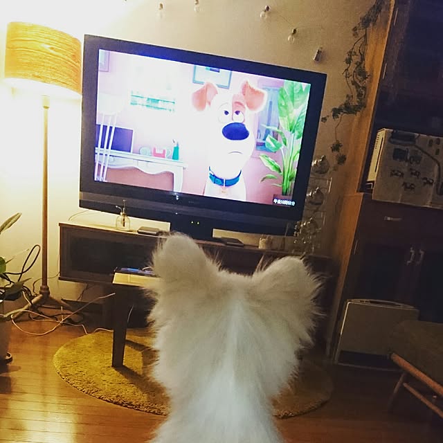 Momoモモナチュラル Landランド パイン材 食器棚 カップボード カントリーモダン 中古家具 中古 インテリア Used家具ユーズド家具 リサイクル 中古 のレビュー クチコミとして参考になる投稿2枚