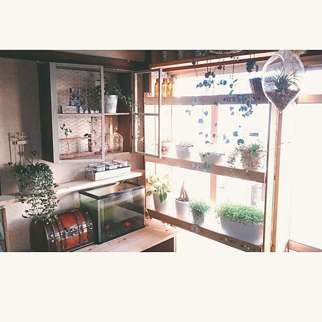 棚/団地/DIY/カウンターDIY/棚DIY...などのインテリア実例 - 2016-03-11 17:59:03