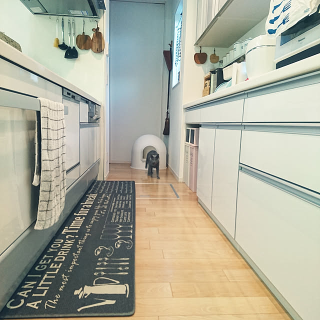 棕櫚皮7玉長柄ほうき 棕櫚箒 しゅろほうき 長柄箒 テレビでも話題の人気商品 おすすめのレビュー クチコミとして参考になる投稿4枚 Roomclip ルームクリップ