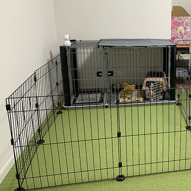ワンにゃんday クーポン配布中 犬 ケージ サークル 自由自在に変形可能 8面ペットサークル 高さ61 5cm Pwc 628 送料無料 ワイヤー サークル ペットサークル ペットフェンス フェンス ゲート Irispointのレビュー クチコミとして参考になる投稿2枚 Roomclip ワンにゃんday クーポン配布中 犬 ケージ サークル 自由自在に変形可能 8面ペットサークル 高さ61 5cm Pwc 628 送料無料 ワイヤー サークル ペットサークル ペットフェンス フェンス ゲート Irispointのレビュー クチコミとして参考になる投稿2枚 Roomclip