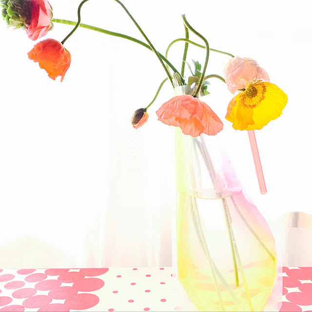 ディーブロス D Bros フラワーベース Flower Vase ホープ フォーエバー ブロッサミング Hope Forever Blossoming 花瓶 花器 ビニールパック通常サイズ 全10種類 2枚入り Rcp 楽ギフ 包装 楽ギフ のし宛書 Hls Du のレビュー クチコミとして参考になる投稿 ディーブロス D Bros フラワーベース Flower Vase ホープ フォーエバー ブロッサミング Hope Forever Blossoming 花瓶 花器 ビニールパック通常サイズ 全10種類 2枚入り Rcp 楽ギフ 包装 楽ギフ のし宛書 Hls Du のレビュー クチコミとして参考になる投稿