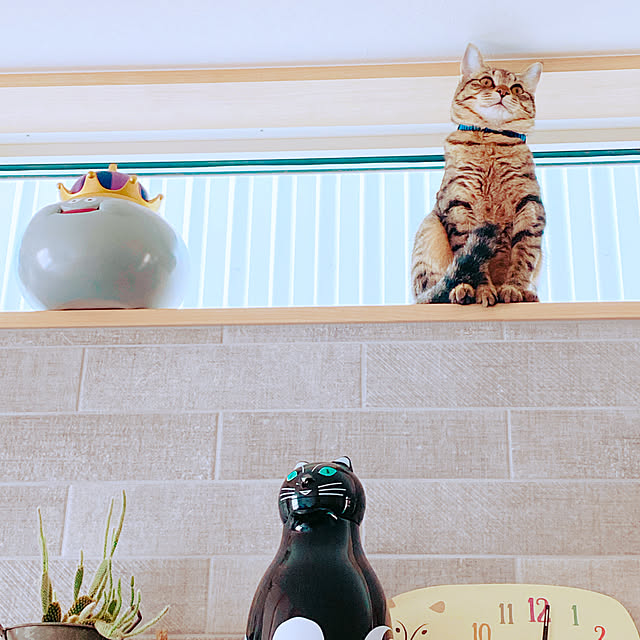 Helios ヘリオス サーモキャット Thermo Catブラック ホワイト卓上ガラス製魔法瓶保温ポット 1l保温 保冷 耐熱ドイツ製猫 ねこ ネコ のレビュー クチコミとして参考になる投稿13枚