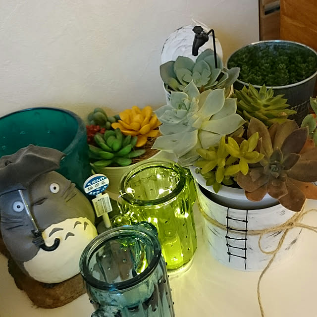 となりのトトロ プランターカバー 雨の日のお届け T 2551 ゆうパケットng非対応商品 プランター トトロ ととろ ジブリグッズ スタジオジブリ キャラクターグッズ Rcp のレビュー クチコミとして参考になる投稿11枚 Roomclip ルーム