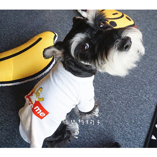シュプリーム 犬服 Supreme 部屋全体 Diy などのインテリア実例 18 03 23 18 02 Roomclip ルームクリップ シュプリーム 犬服 Supreme 部屋全体 Diy などのインテリア実例 18 03 23 18 02 Roomclip ルームクリップ