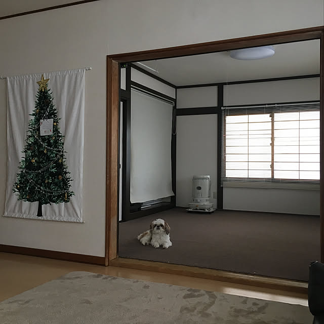 Tokai トーカイ クリスマスツリー タペストリー ウッド柄 オックス 90cm 146cmのレビュー クチコミとして参考になる投稿24枚 Roomclip Item Tokai トーカイ クリスマスツリー タペストリー ウッド柄 オックス 90cm 146cmのレビュー クチコミとして参考になる投稿24枚 Roomclip Item