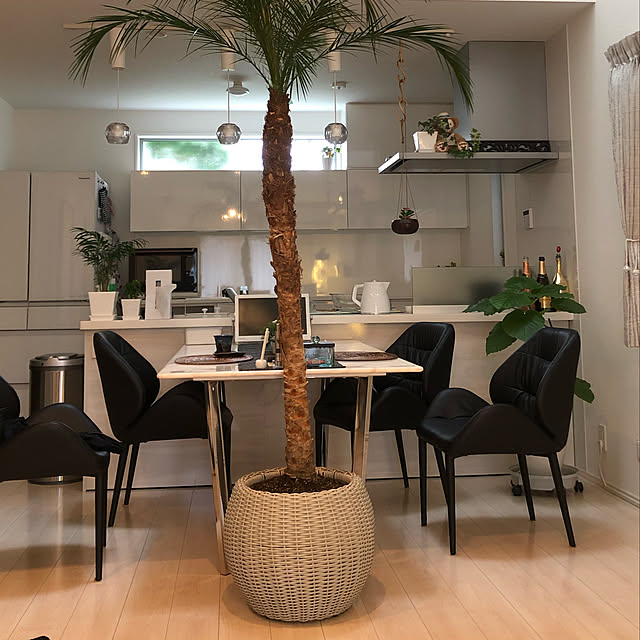 写真付きレビュー 鉢カバー ウィッカーポット スフィア L50型 8 9号用 インナーポット付き 全高38cm 直径50cm 底穴なし 寄せ植え 観葉植物用 プランターの通販商品 口コミ情報 Roomclipショッピング