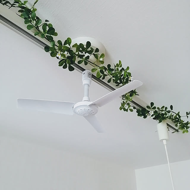 開店祝い シーリングファン 軽量 B ダクトレールファン ウッド 2個セット おしゃれ リモコン 小型 薄型 コンパクト ダクトレール用 ライティングダ 新版 Admarwork Pl