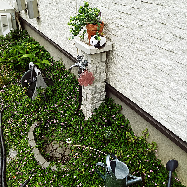 セリア Seria ららぽーと立川立飛のまとめページ Roomclip ルームクリップ