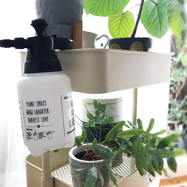 ガーデン圧縮式スプレー ブラック レッド Enjoy Up To You 霧吹き スプレー 霧吹き キリフキ アンティーク風 観葉植物 ガーデニング グラススプレー インテリア雑貨のレビュー クチコミとして参考になる投稿40枚 Roomclip Item ガーデン圧縮式スプレー ブラック レッド Enjoy Up To You 霧吹き スプレー 霧吹き キリフキ アンティーク風 観葉植物 ガーデニング グラススプレー インテリア雑貨のレビュー クチコミとして参考になる投稿40枚 Roomclip Item