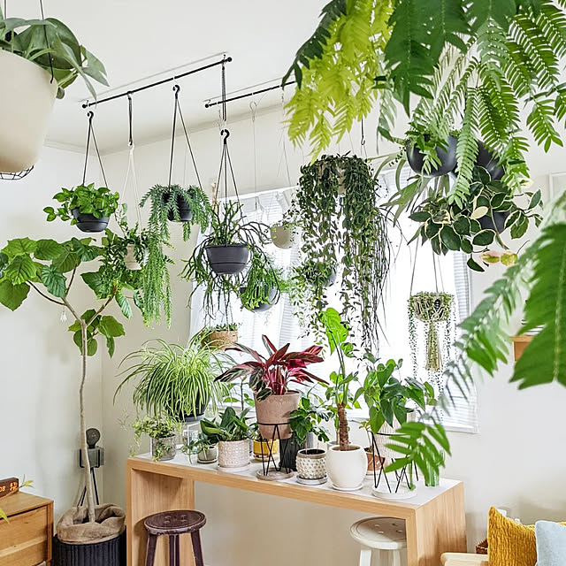 写真付きレビュー プランター プラントポット キントー Kinto 17 4cm ベージュ 送料無料 ハンギングプランター 吊り鉢 プラントハンガー 植木鉢 壁掛け 吊るす 吊り下げ おしゃれ 観葉植物 屋内 室内 店舗 ディスプレイ お店 多肉植物 底穴 3980円以上送料無料