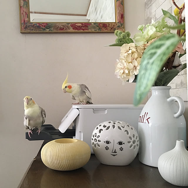 ビヨン ヴィンブラッド フラワーボウル スモール おしゃれ かわいい Flower Bowl S ホワイト 白 Bjorn Wiinblad デンマーク 北欧 花瓶 一輪挿し ベイス アート オブジェ 置物のレビュー クチコミとして参考になる投稿16枚 Roomclip ルームクリップ