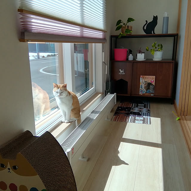 猫 トイレ 収納 隠す おしゃれ 家具 目隠し ペット用品 ねこ カバー インテリア ラック リビング 収納 棚 収納棚 扉付き シェルフ Rack トイレ収納 猫砂飛散防止 収納 北欧 シンプル 猫用トイレ収納ラック Selma セルマ ロータイプのレビュー クチコミとして参考になる