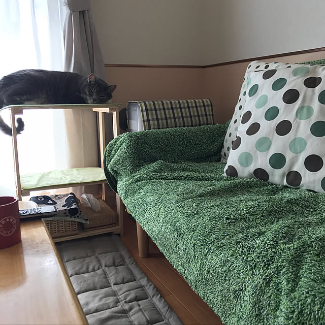 無印良品 再生ペットのポリエステル使い片面フリースひざ掛け グリーン ７０ １１０ｃｍ グリーンのレビュー 口コミとして参考になる投稿3枚 Roomclip ルームクリップ