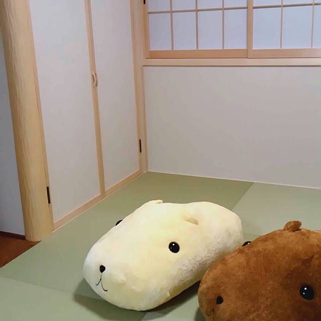 カピバラさん ぬいぐるみ 特大 等身大 もふっと ホワイトさん ヌイグルミのレビュー クチコミとして参考になる投稿1枚 Roomclipショッピング