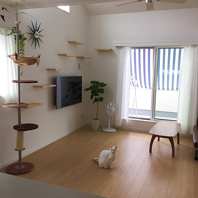 写真付きレビュー ボンビアルコン キャットポール キャットタワー 突っ張り の通販商品 口コミ情報 Roomclipショッピング