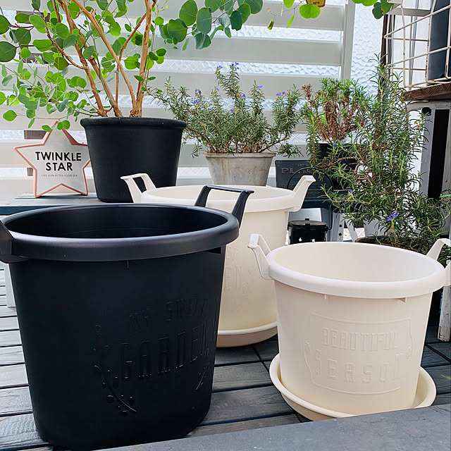 グローコンテナ 30型 30cm ブラック 11リットル 植木鉢 おしゃれ 軽量 取っ手 黒のレビュー クチコミとして参考になる投稿2枚 グローコンテナ 30型 30cm ブラック 11リットル 植木鉢 おしゃれ 軽量 取っ手 黒のレビュー クチコミとして参考になる投稿2枚