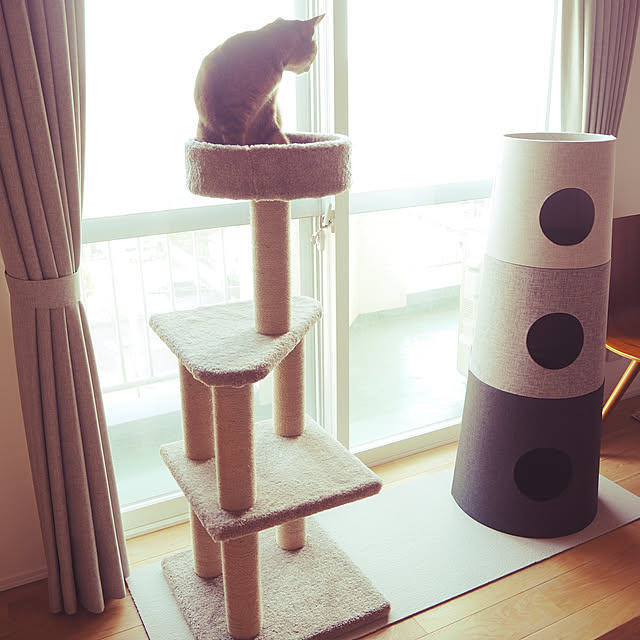 Amazonベーシック Amazon Basics Amazonベーシック キャットタワー 爪とぎ付き Lサイズ 46 X 46 X 117cm ベージュのレビュー 口コミとして参考になる投稿6枚 Roomclip ルームクリップ Amazonベーシック Amazon Basics Amazonベーシック キャットタワー 爪とぎ付き Lサイズ 46 X 46 X 117cm ベージュのレビュー 口コミとして参考になる投稿6枚 Roomclip ルームクリップ