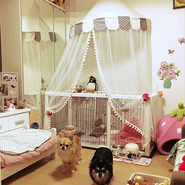 キッズルーム ミニカーテン 夢の子供部屋 天蓋 キャノピー 蚊帳 テント ベビーベッド おしゃれ プレイルーム インスタ映え グレーのレビュー クチコミとして参考になる投稿6枚 Roomclip ルームクリップ キッズルーム ミニカーテン 夢の子供部屋 天蓋 キャノピー 蚊帳 テント ベビーベッド おしゃれ プレイルーム インスタ映え グレーのレビュー クチコミとして参考になる投稿6枚 Roomclip ルームクリップ