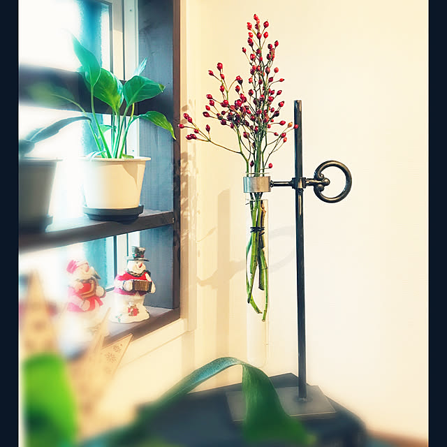 バランスチューブ シングルベース Covent Garden コベントガーデン スチール ガラス フラワーベース 花瓶 木 花 フラワー Ki 92のレビュー クチコミとして参考になる投稿10枚