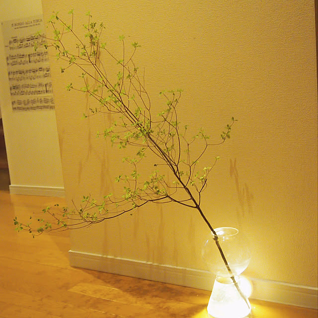 マスキングテープ 幅広 木目調カッティングシート 白 幅8cm 50m単位 幅広マスキングテープ 壁紙 白 シール のり付き 壁紙用 シール ウッド パネリング 羽目板 ホワイト はがせる リメイクシート アクセントクロス ウォールステッカー 壁紙シール Diyのレビュー