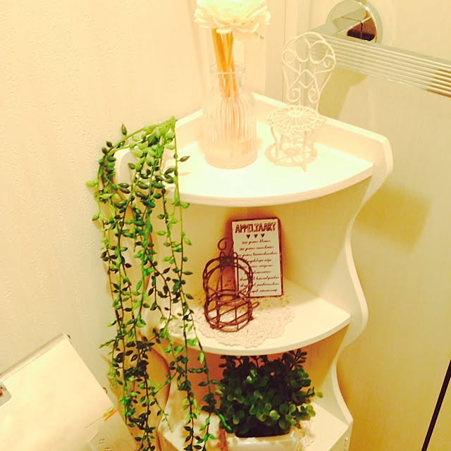 バス/トイレ/3COINS/ナチュラル キッチン/植物/フェイクグリーン...などのインテリア実例 - 2014-03-21 03:01:11